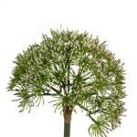 Faux Allium Plant