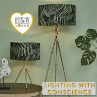 Lighting with Ethics Lighting and Lights