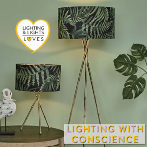 Lighting with Ethics Lighting and Lights