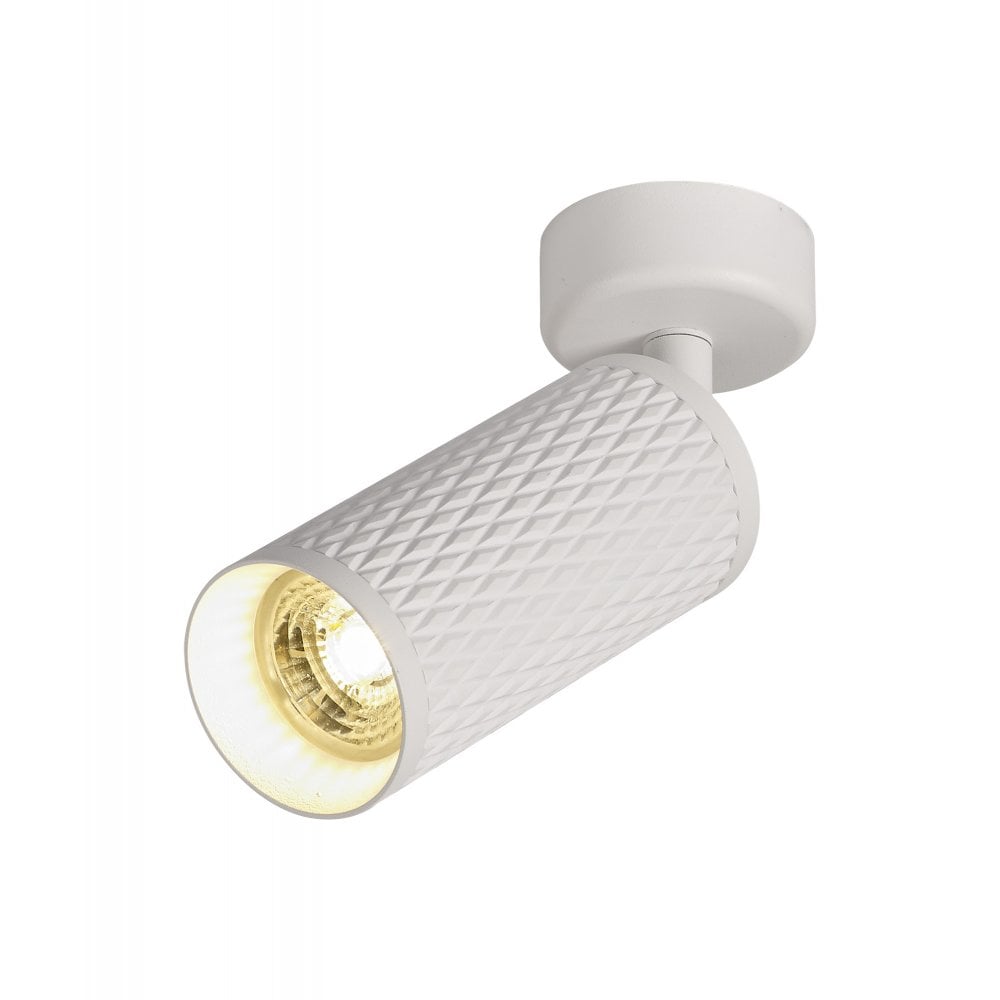 White surface mounted spot light.