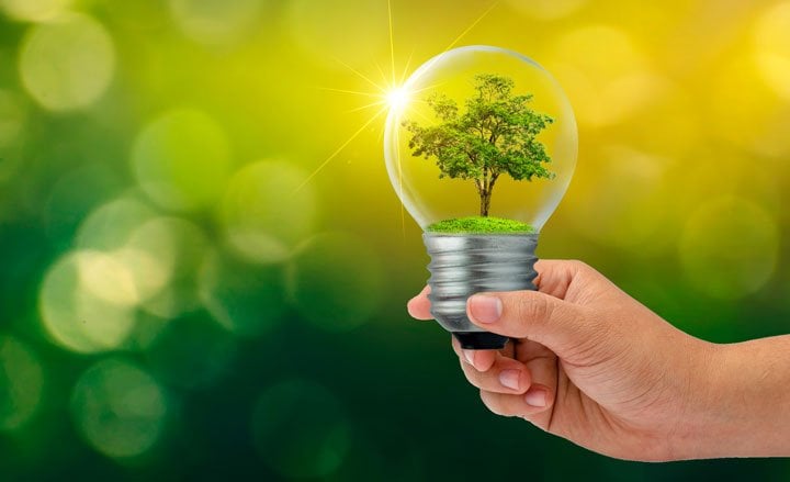 light bulb with tree to represent environmentally friendly