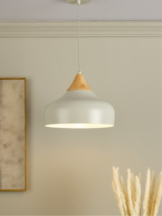 Class 2 single light pendant