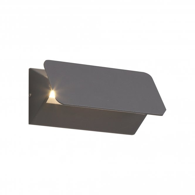 CARA LED Modern Outdoor Wall Light in Anthracite