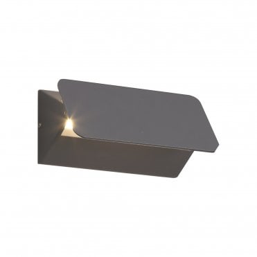 CARA LED Modern Outdoor Wall Light in Anthracite