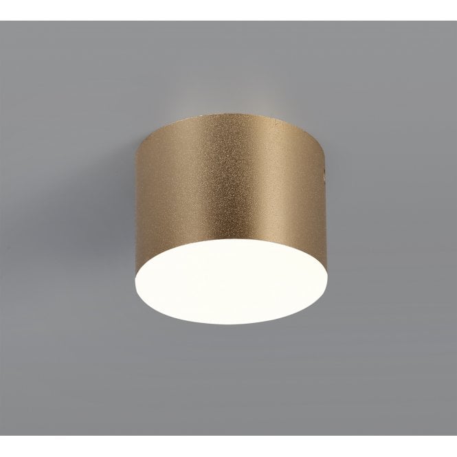 DOT 3000K Spotlight Plate 700lm Satin Gold
