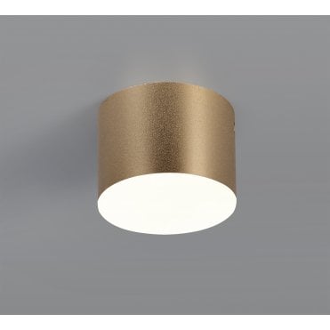 DOT 3000K Spotlight Plate 700lm Satin Gold