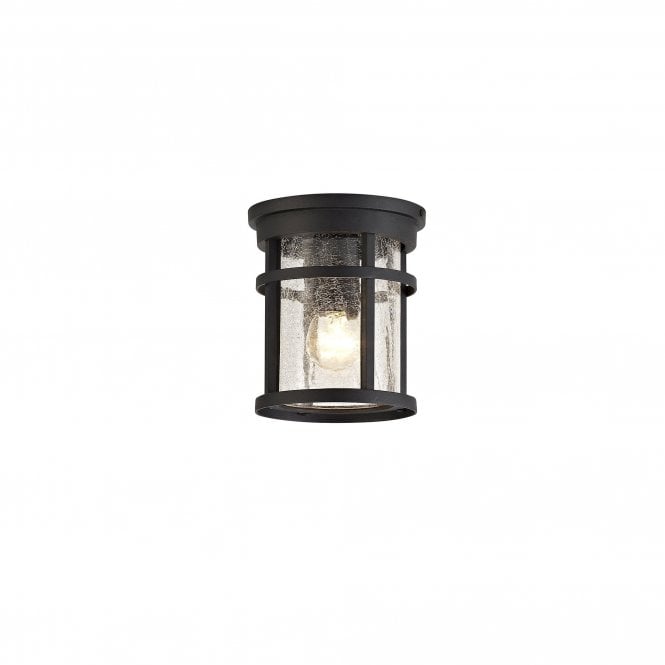 ELLIS Outdoor Ceiling Light in Black with Crackled Glass