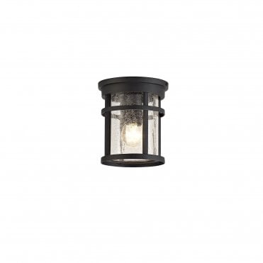 ELLIS Outdoor Ceiling Light in Black with Crackled Glass