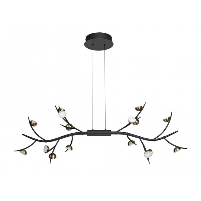 FOREST Ceiling Pendant Black/Antique Brass Nature Inspired