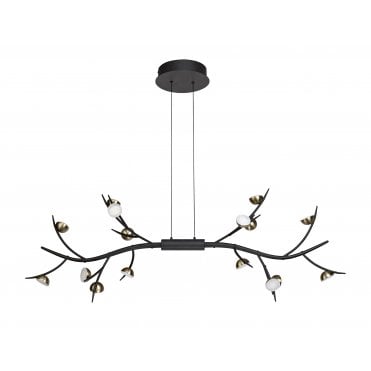 Ceiling Pendant Black/Antique Brass Nature Inspired