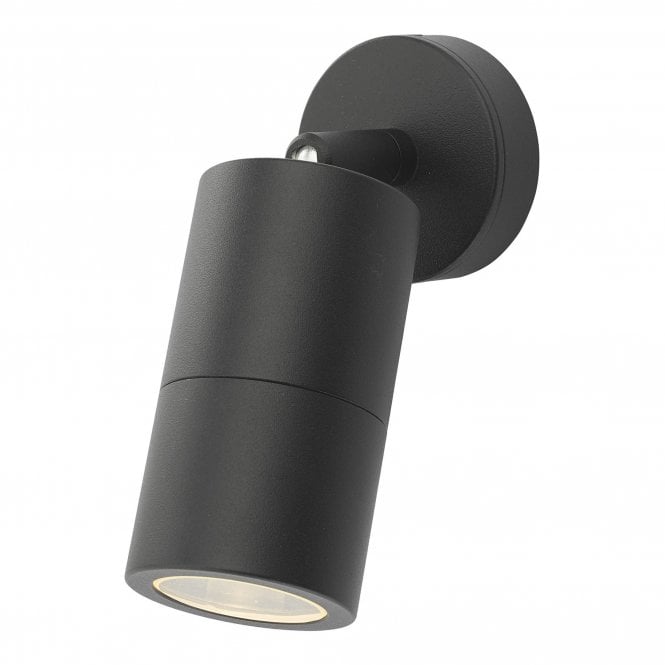 ORTEGA Outdoor Adjustable Wall Light Black IP65